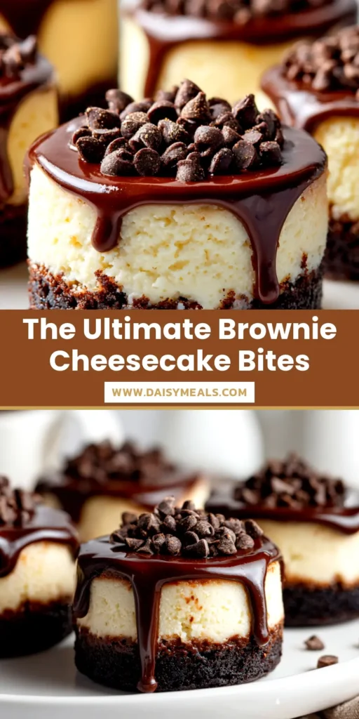 A platter of delicious brownie bottom mini cheesecakes, with one cut in half to show the distinct layers of fudgy brownie and creamy cheesecake.